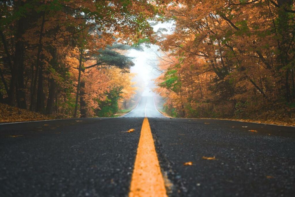 Road with beautiful fall scenery